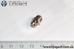 Маслянка М8х1 пряма (ТМ S. I. L. A.) Маслянка М8х1 пряма (ТМ S. I. L. A.)